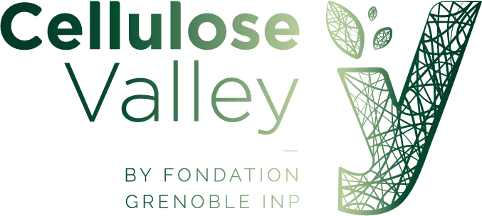 Logo Chaire Cellulose Valley